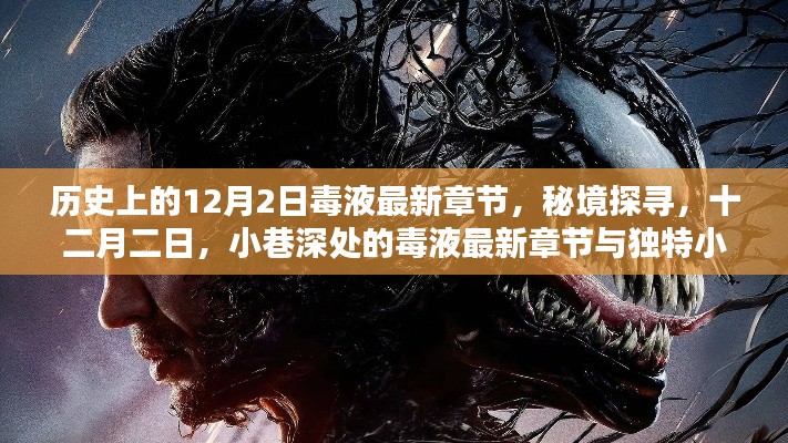秘境探尋，毒液最新章節(jié)與獨特小店的奇妙邂逅在十二月二日