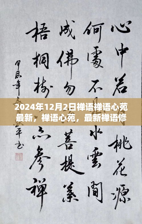 禪語心苑，最新禪語修行指南（初學者與進階用戶適用）——每日禪悟，開啟心靈之旅
