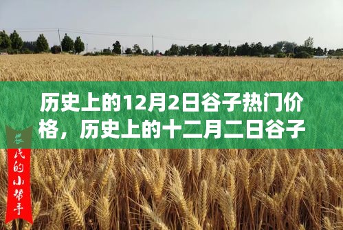 深度解析，歷史上的谷子熱門價(jià)格變遷與背景事件影響——十二月二日的回顧與剖析