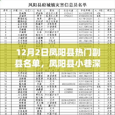 鳳陽(yáng)縣副縣名單揭秘，小巷深處的特色小店與熱門人物盤點(diǎn)