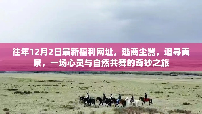 心靈與自然共舞，逃離塵囂的奇妙之旅，最新福利網(wǎng)址揭秘