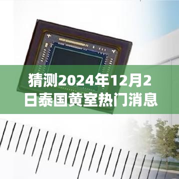 泰國黃室風(fēng)云揭秘，學(xué)習(xí)變革與夢想實現(xiàn)，2024年12月2日的輝煌展望