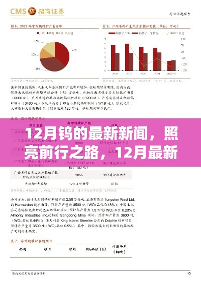12月鎢的最新動態(tài)，照亮前行之路的深度測評與產(chǎn)品介紹