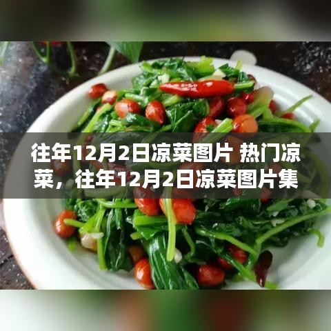 往年12月2日熱門(mén)涼菜集錦，揭秘涼菜魅力與圖片解密