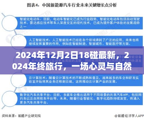 心靈與自然的碰撞，2024年終旅行記