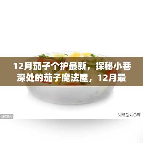 揭秘十二月的茄子護膚秘密，探秘小巷深處的魔法屋，最新茄子個護指南