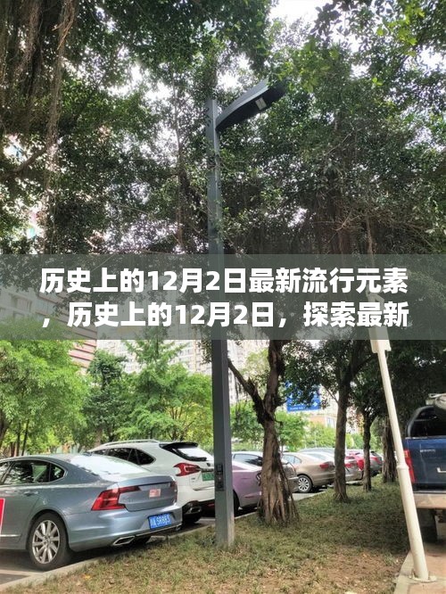 歷史上的12月2日，探索最新流行元素的詳細(xì)指南與趨勢(shì)觀察