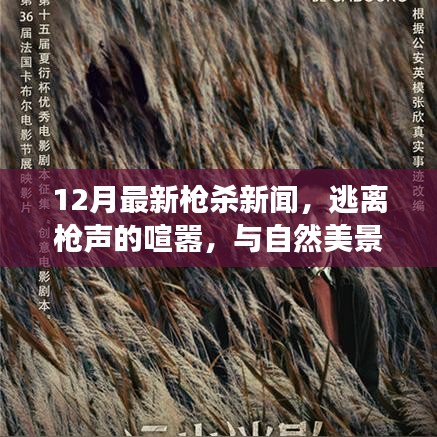 十二月槍案背后的逃離之旅，追尋內(nèi)心平靜的旅行記