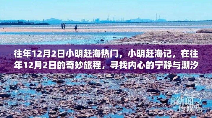 小明趕海記，尋找潮汐之聲與內(nèi)心的寧?kù)o之旅