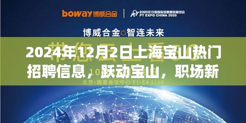 躍動寶山，職場新星，上海寶山熱門招聘信息全解析（2024年）