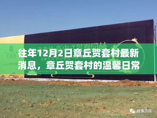 章丘賀套村12月2日最新動態(tài)，溫馨日常的嶄新篇章