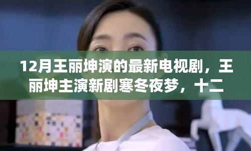 王麗坤主演新劇寒冬夜夢，十二月熒屏璀璨之星