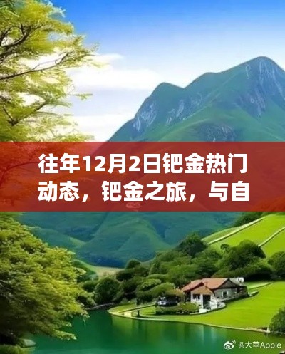 鈀金之旅，與自然美景相遇，探尋內(nèi)心寧?kù)o的熱門(mén)動(dòng)態(tài)回顧