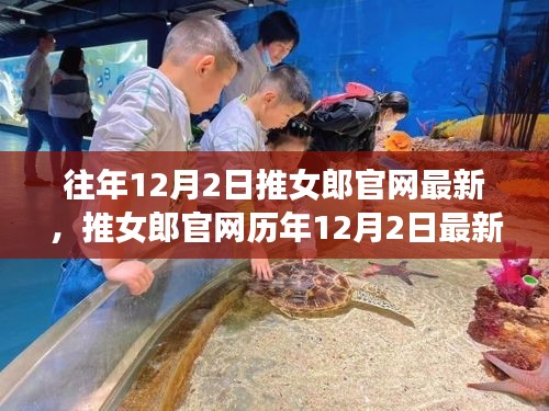 推女郎官網(wǎng)歷年12月2日回顧，從起步到時(shí)代足跡的歷程