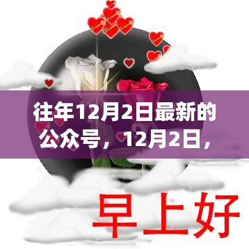 公眾號(hào)里的溫馨日常故事，友情、家庭與愛的紐帶紐帶（12月2日更新）