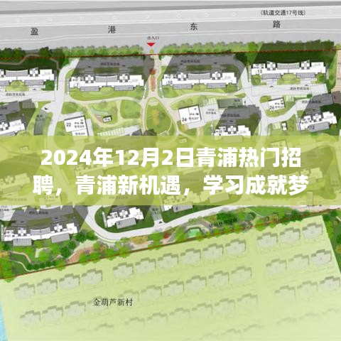 2024年12月2日青浦熱門招聘啟幕，新機(jī)遇助力學(xué)習(xí)成就夢(mèng)想