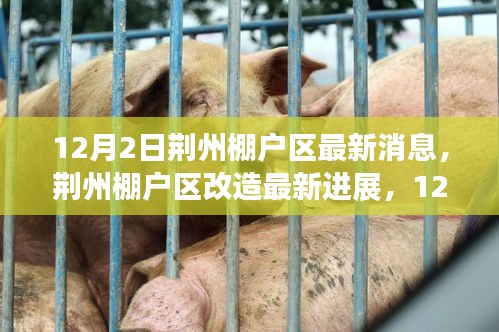 荊州棚戶區(qū)改造最新進(jìn)展深度報(bào)道，12月2日更新消息