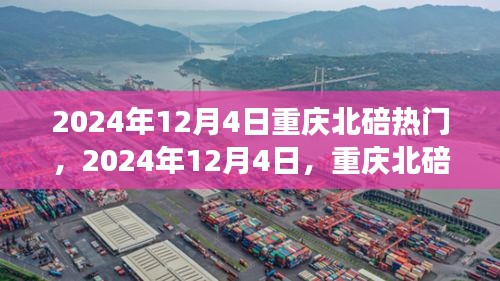 2024年12月4日重慶北碚之旅，探尋自然美景，重拾心靈寧靜