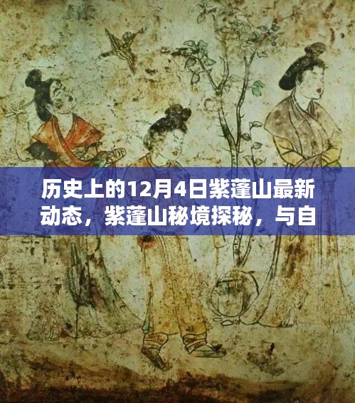 紫蓬山探秘，歷史動(dòng)態(tài)與自然寧?kù)o的交融之旅（12月4日最新資訊）
