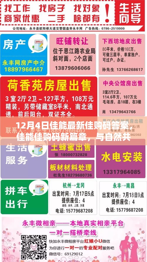 佳能佳購碼新篇章揭秘，與自然共舞，探尋心靈寧靜之地（12月4日最新答案）