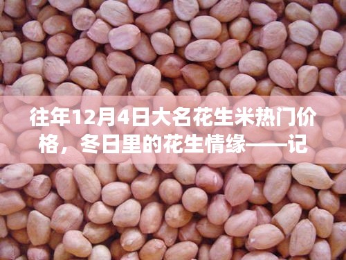 冬日花生情緣，探尋大名花生米熱門價(jià)格與奇妙之旅