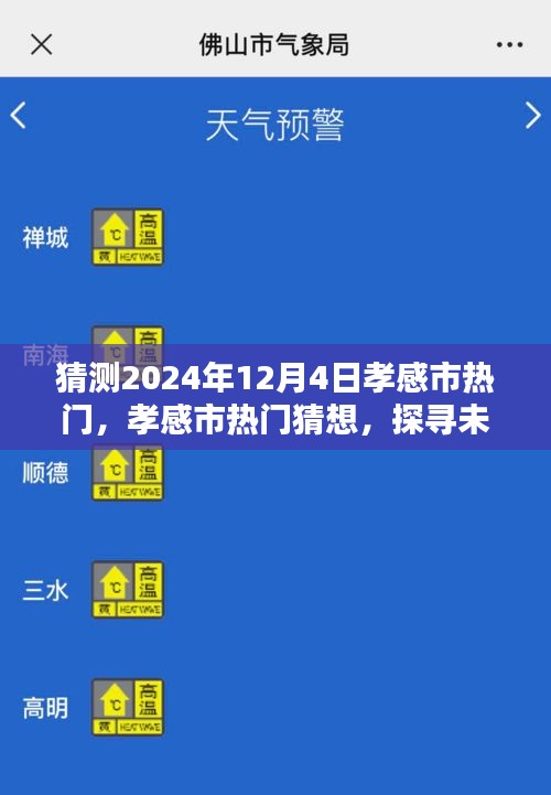 探尋孝感市未來魅力風(fēng)采，2024年12月4日熱門猜想與風(fēng)采展望