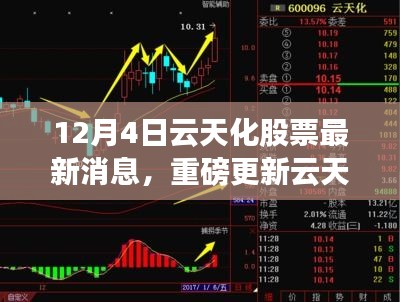 云天化股票最新動(dòng)態(tài)揭秘，市場走勢分析與前景展望（12月4日更新）