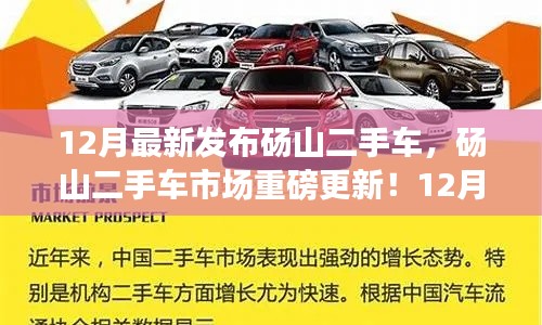 碭山二手車市場最新發(fā)布，12月車輛大全，優(yōu)質(zhì)二手車任你選