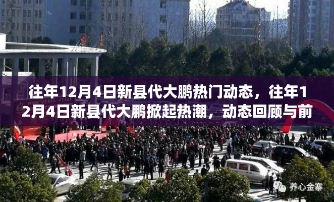 往年12月4日新縣代大鵬，熱門動態(tài)回顧與未來前瞻，掀起熱潮的焦點時刻