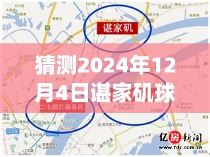 諶家磯球場(chǎng)最新動(dòng)態(tài)展望，未來(lái)賽事猜想（2024年12月4日）