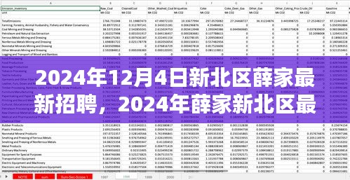 2024年新北區(qū)薛家最新招聘全攻略，適合初學(xué)者與進(jìn)階用戶的應(yīng)聘指南