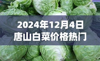 唐山白菜情緣，冬日蔬菜市場(chǎng)的溫情故事與白菜價(jià)格行情解析