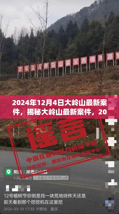 揭秘大嶺山最新案件內(nèi)幕，深度剖析大嶺山事件真相（2024年12月4日）