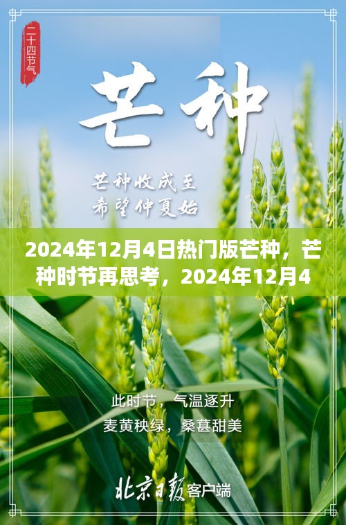 建議，芒種時(shí)節(jié)再思考，2024年熱門版芒種的深層意義與影響