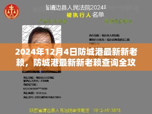 防城港最新新老賴(lài)查詢(xún)指南（2024年12月版），從初學(xué)者到進(jìn)階用戶(hù)全面攻略