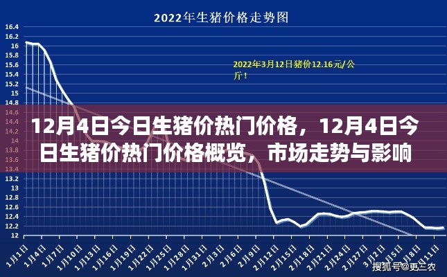 12月4日生豬價(jià)熱門(mén)概覽，深度解析市場(chǎng)走勢(shì)與影響因素