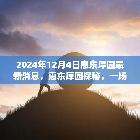 揭秘惠東厚園，自然美景的心靈之旅（最新消息）