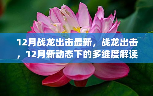 戰(zhàn)龍出擊，12月新動態(tài)多維度解讀
