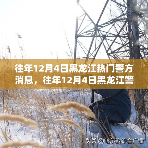 黑龍江警方警務動態(tài)熱點聚焦，警務影響分析與公眾關注焦點解讀
