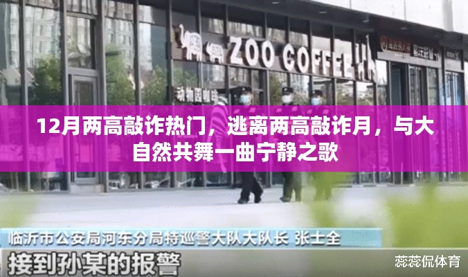 12月熱門敲詐事件，逃離高壓，與自然共舞寧靜之歌