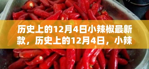 歷史上的小辣椒最新款誕生與影響，揭秘12月4日的獨(dú)特意義
