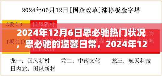 思必馳溫馨日常，揭秘2024年12月6日的奇妙時光
