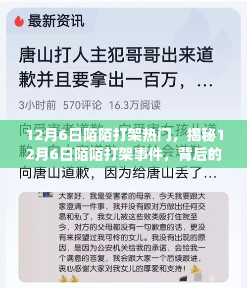 揭秘，12月6日陌陌打架事件背后的原因與影響熱議風(fēng)潮