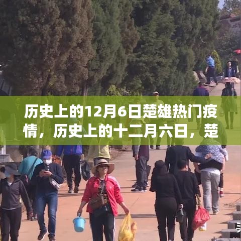歷史上的十二月六日，楚雄疫情風(fēng)云變遷回顧