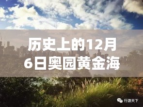 揭秘黃金海岸，歷史上的12月6日最新動態(tài)與發(fā)展歷程揭秘