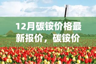 碳銨價(jià)格最新動(dòng)態(tài)，與自然美景相遇，探尋內(nèi)心寧?kù)o之旅