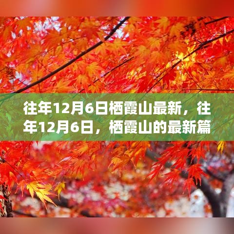 往年12月6日棲霞山深度解析，歷史、事件與地位的新篇章