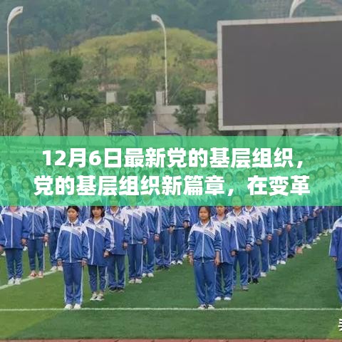 變革之光，黨的基層組織新篇章，12月6日最新發(fā)展
