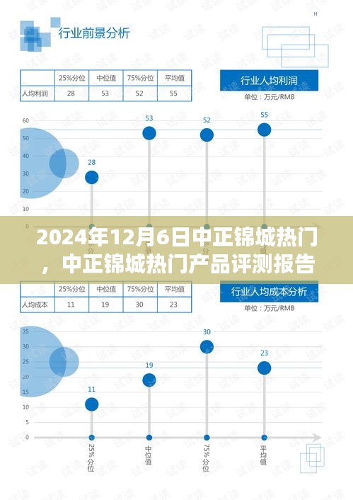 2024年12月6日中正錦城熱門，中正錦城熱門產(chǎn)品評測報(bào)告——深度解析與用戶體驗(yàn)分享（XXXX年XX月XX日版）