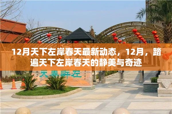 12月踏遍天下左岸春天，最新動(dòng)態(tài)與靜美奇跡全解析